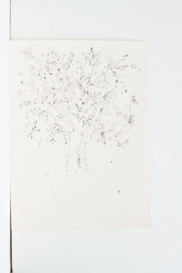 RECT M 0025